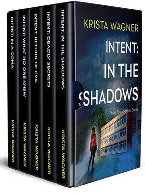 cover image of Small Town Secrets